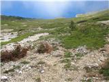 Planina Pungrat - Škrbina del plazu - strmina je precej večja, kot izgleda na fotografiji